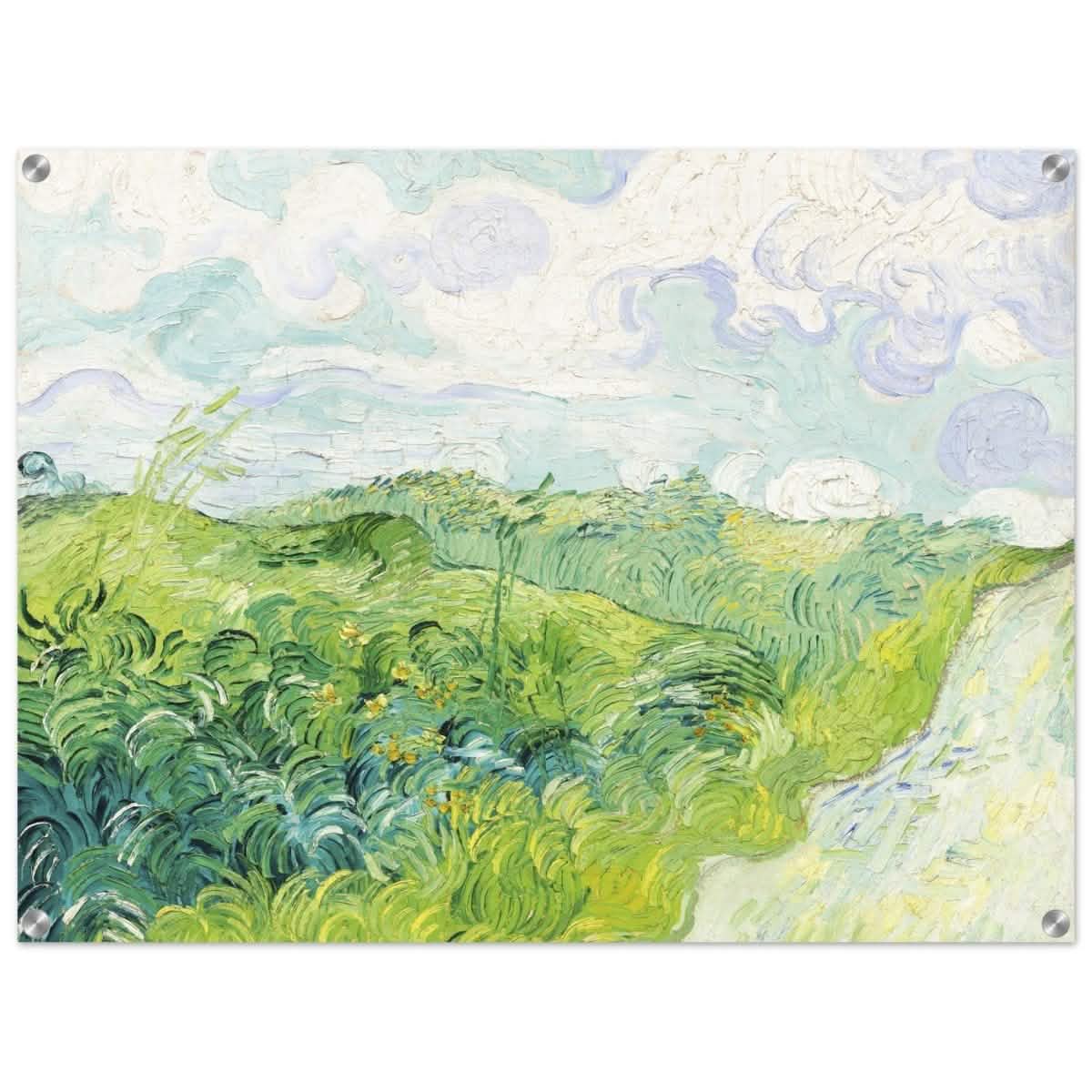 Green Wheat Fields, Auvers by Vincent van Gogh | vintage wall art print - Acrylic Print - 60x80 cm / 24x32″ -