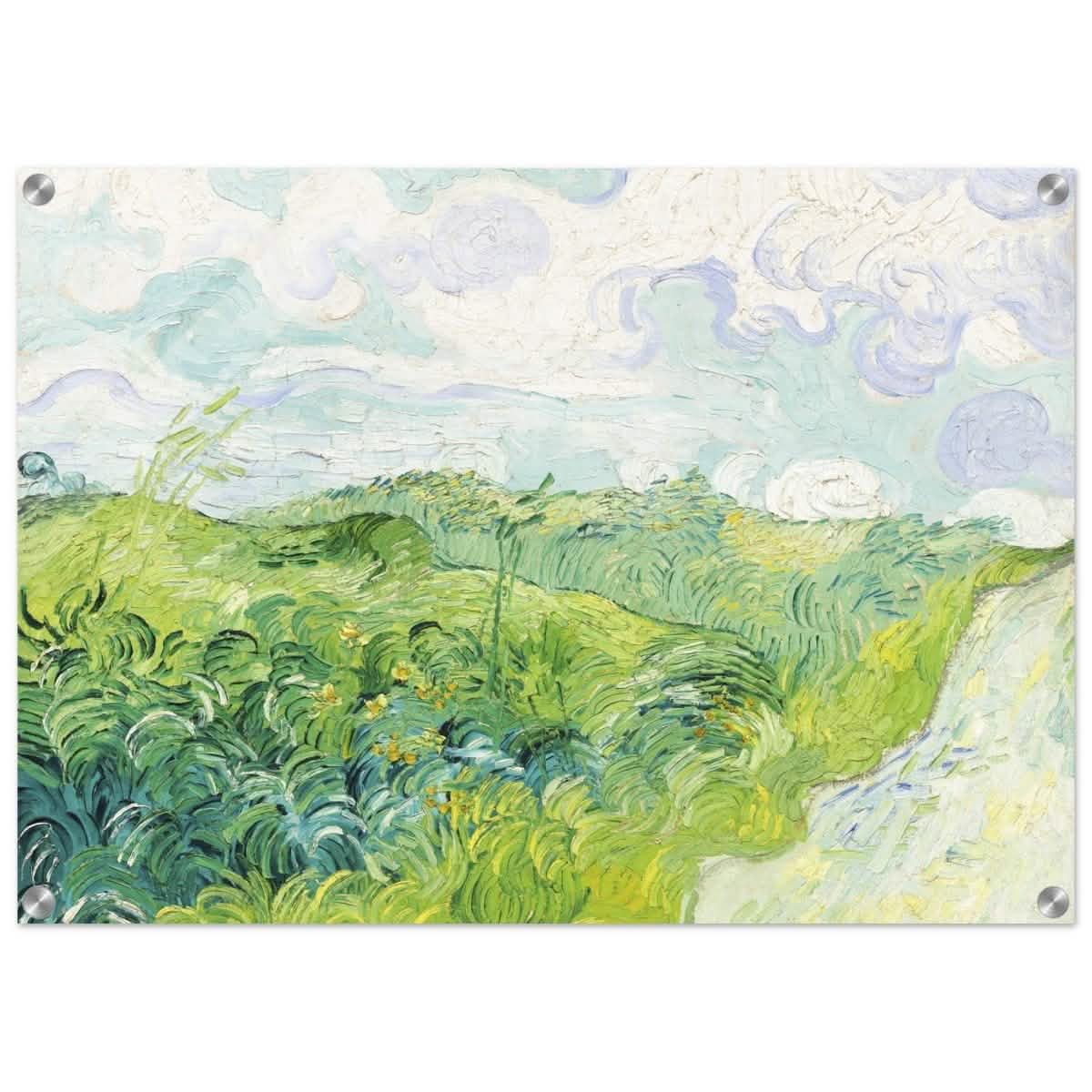 Green Wheat Fields, Auvers by Vincent van Gogh | vintage wall art print - Acrylic Print - 50x70 cm / 20x28″ -