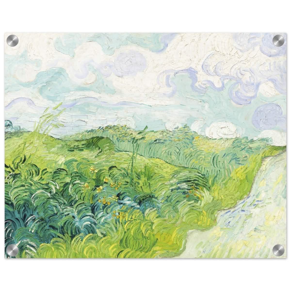 Green Wheat Fields, Auvers by Vincent van Gogh | vintage wall art print - Acrylic Print - 40x50 cm / 16x20″ -