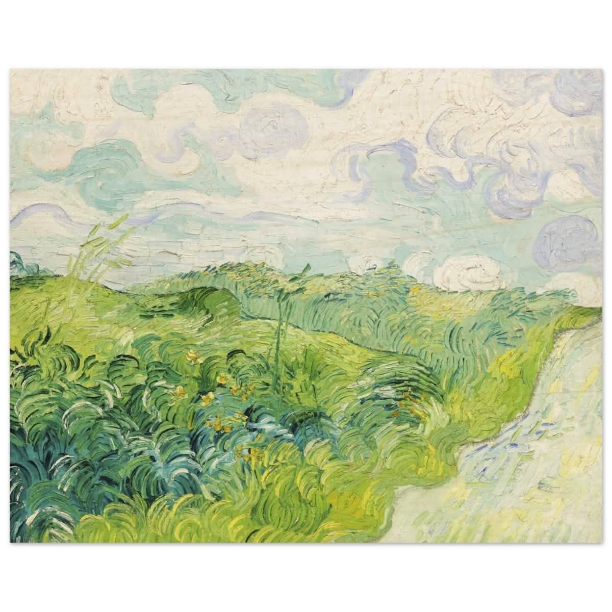 Green Wheat Fields, Auvers by Vincent van Gogh | vintage wall art print - Wood Prints - 40x50 cm / 16x20″ -