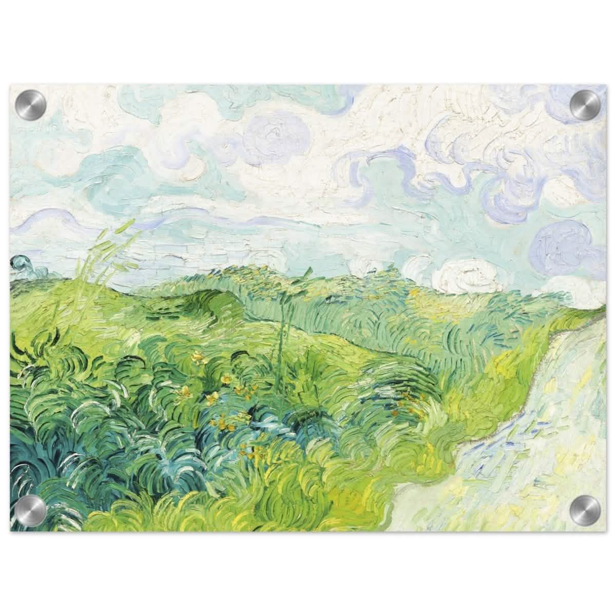 Green Wheat Fields, Auvers by Vincent van Gogh | vintage wall art print - Acrylic Print - 30x40 cm / 12x16″ -