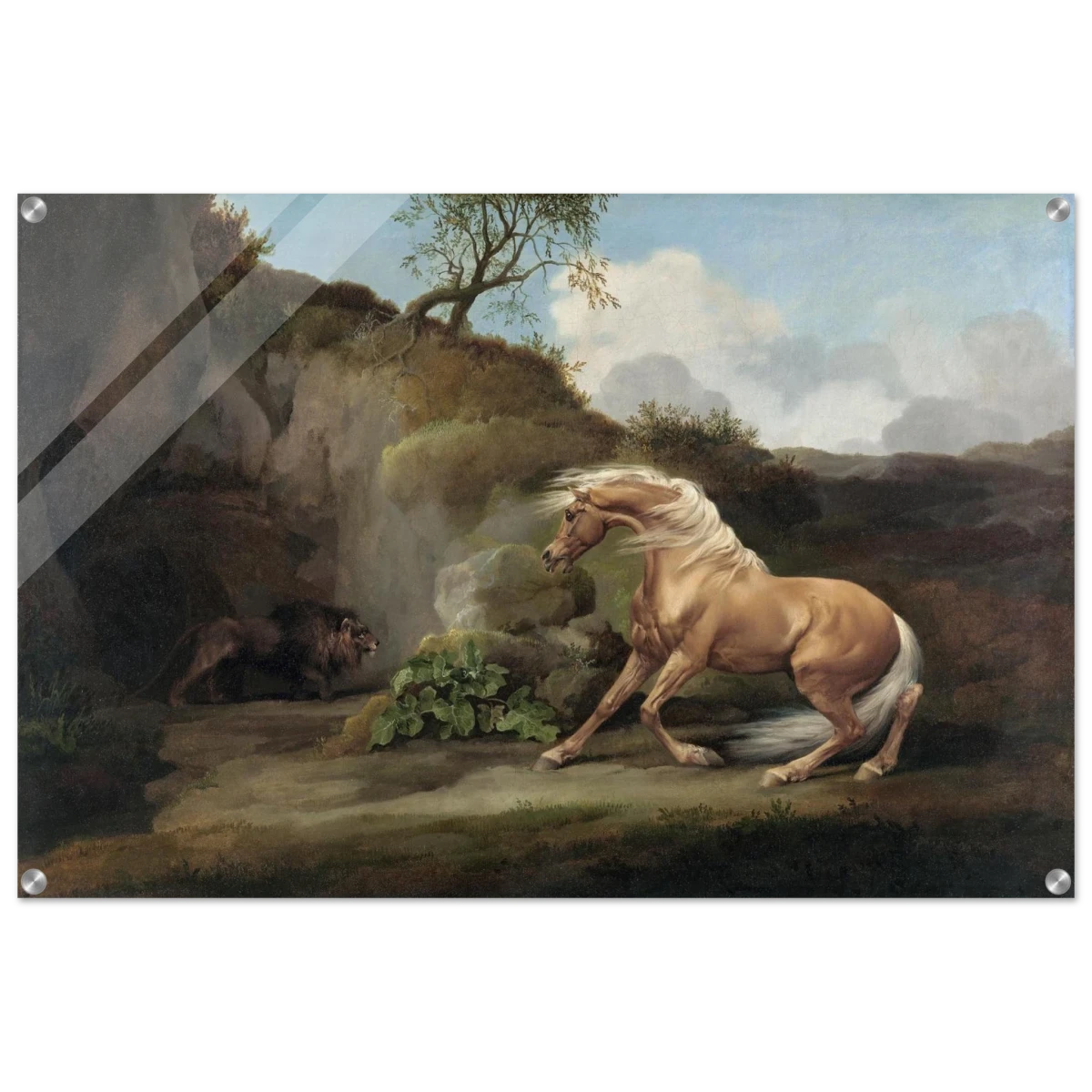 Horse Frightened by a Lion – George Stubbs Wall Art Print - Acrylic Print - 60x90 cm / 24x36″ -