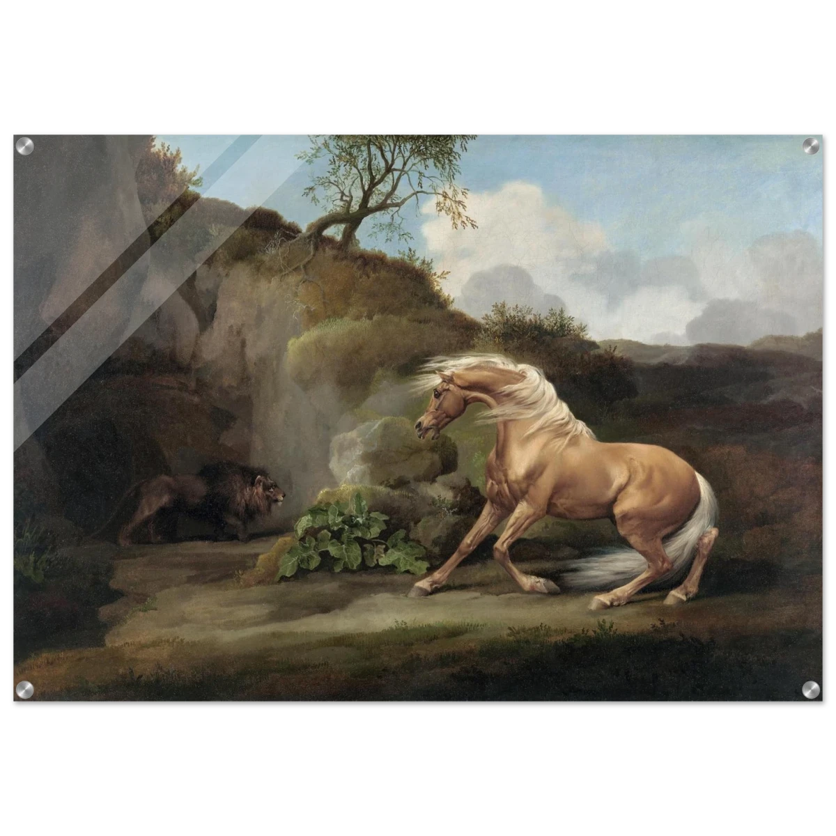 Horse Frightened by a Lion – George Stubbs Wall Art Print - Acrylic Print - 70x100 cm / 28x40″ -