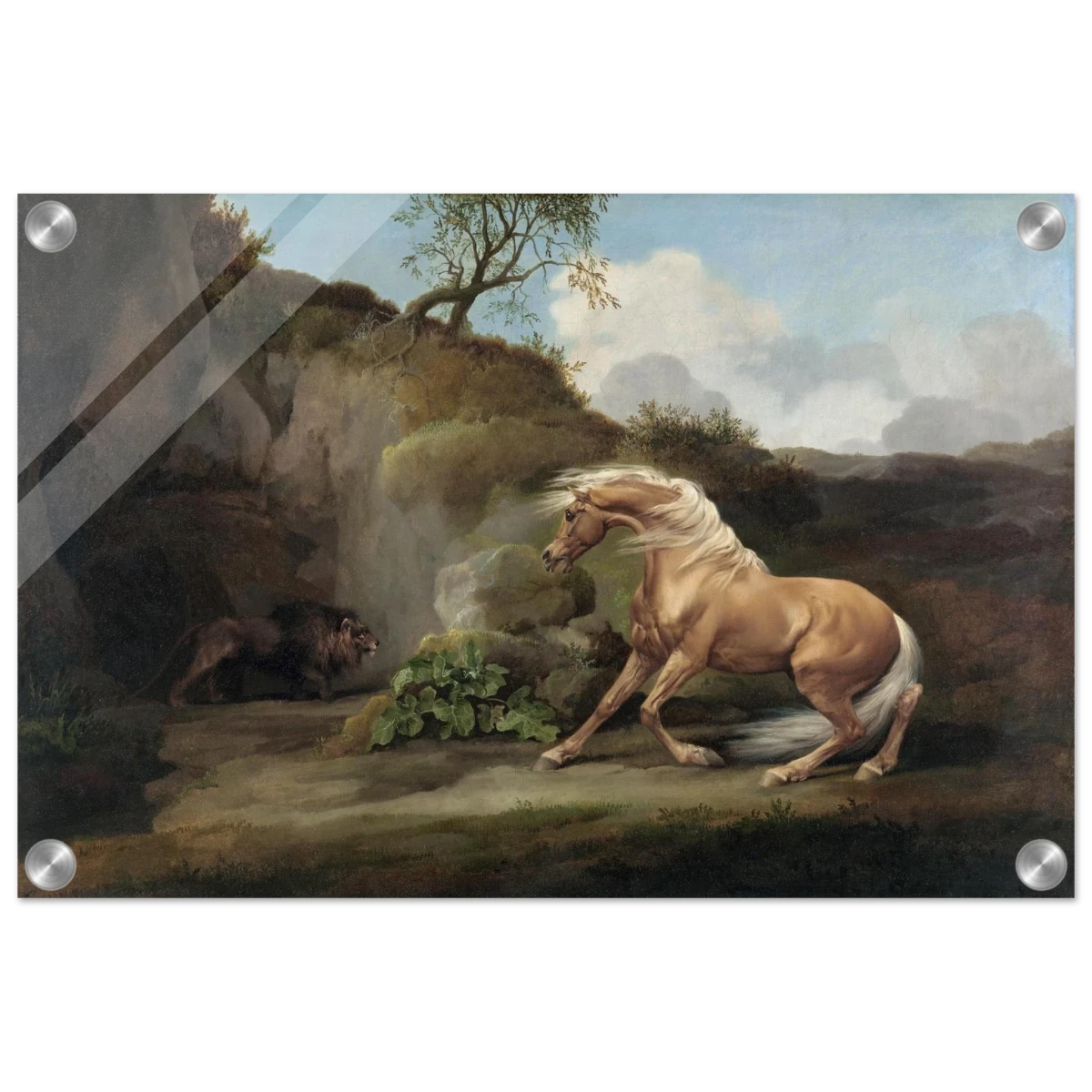Horse Frightened by a Lion – George Stubbs Wall Art Print - Acrylic Print - 30x45 cm / 12x18″ -