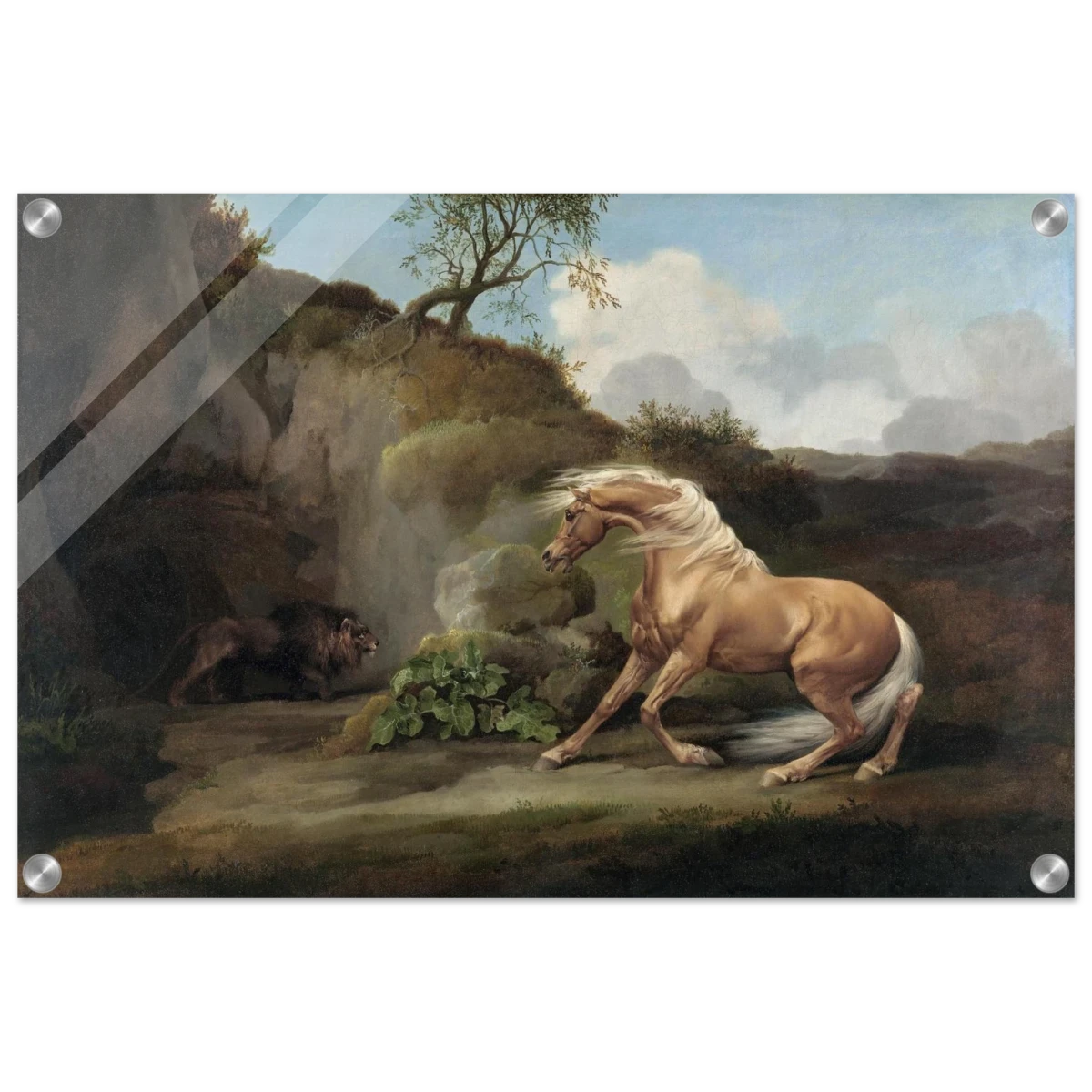Horse Frightened by a Lion – George Stubbs Wall Art Print - Acrylic Print - 40x60 cm / 16x24″ -