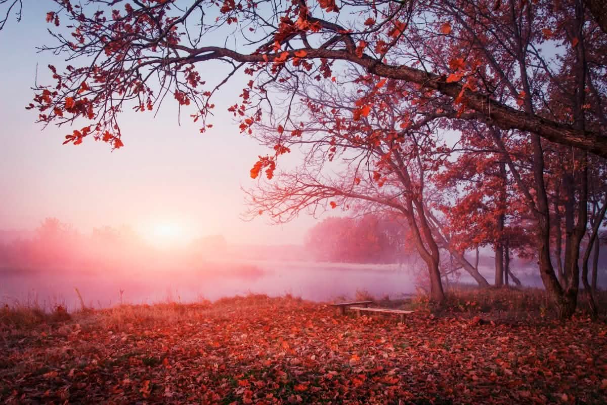 "Moments in Nature" – Choose Your Scene: Forest Mist, Ocean Sunset, or Morning Meadow - 30x45 cm / 12x18″ - Morning Meadow - Acrylic Print