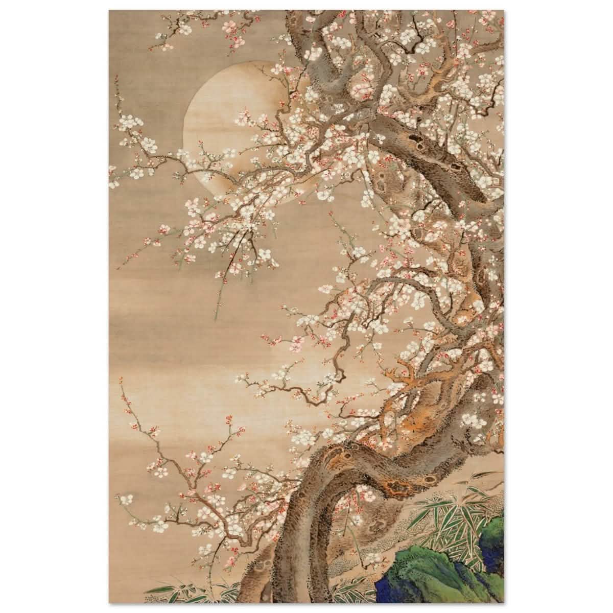 Moonlit Sakura Dance | Traditional Chinese/Japanese Botanical wall art print - Acrylic Print - 30x45 cm / 12x18″ -
