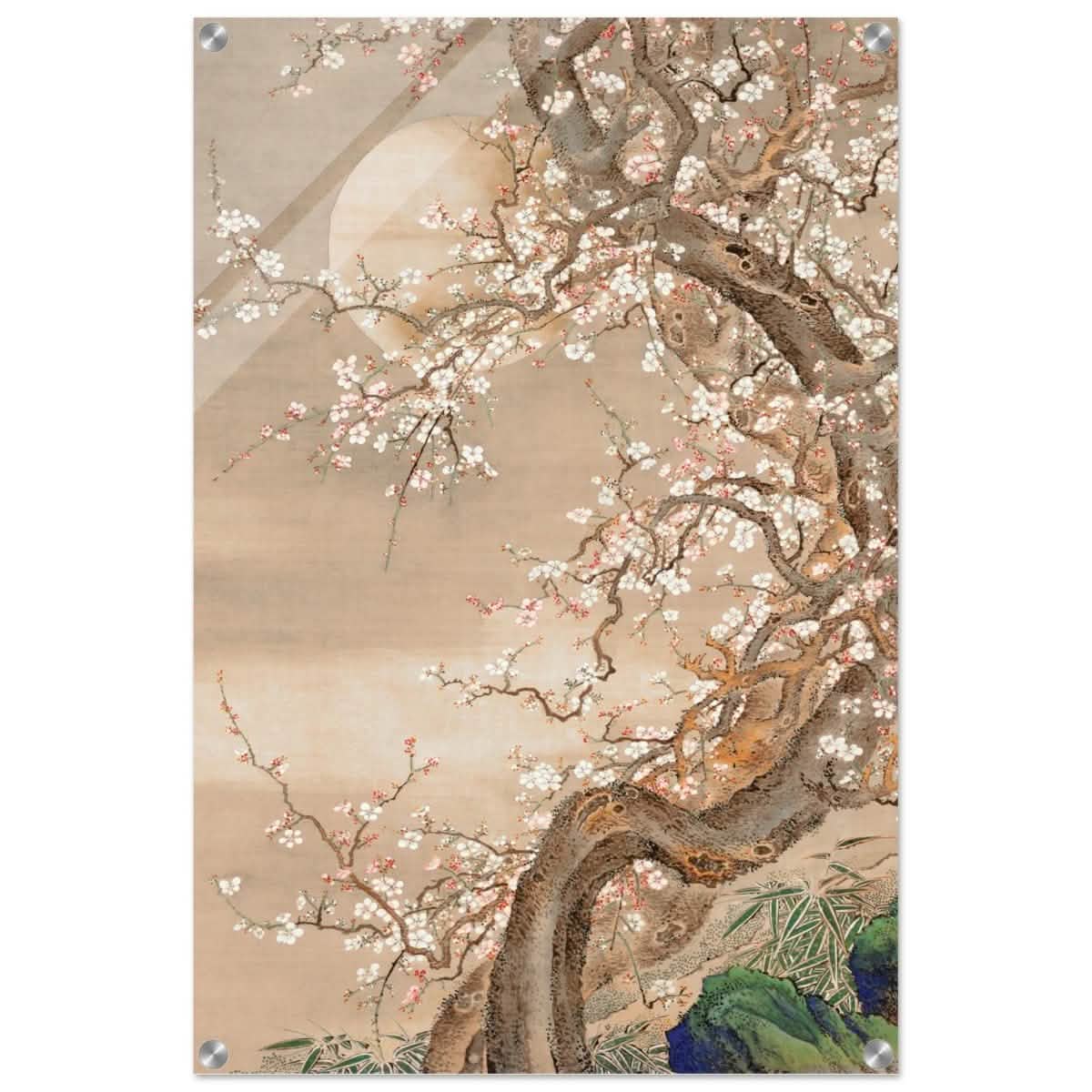 Moonlit Sakura Dance | Traditional Chinese/Japanese Botanical wall art print - Acrylic Print - 30x45 cm / 12x18″ -
