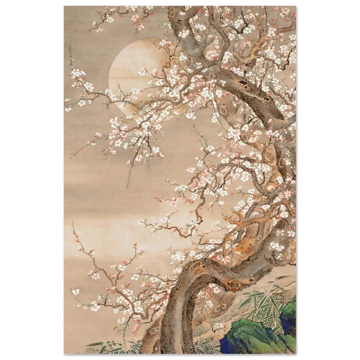 Moonlit Sakura Dance | Traditional Chinese/Japanese Botanical wall art print - Acrylic Print - 30x45 cm / 12x18″ -