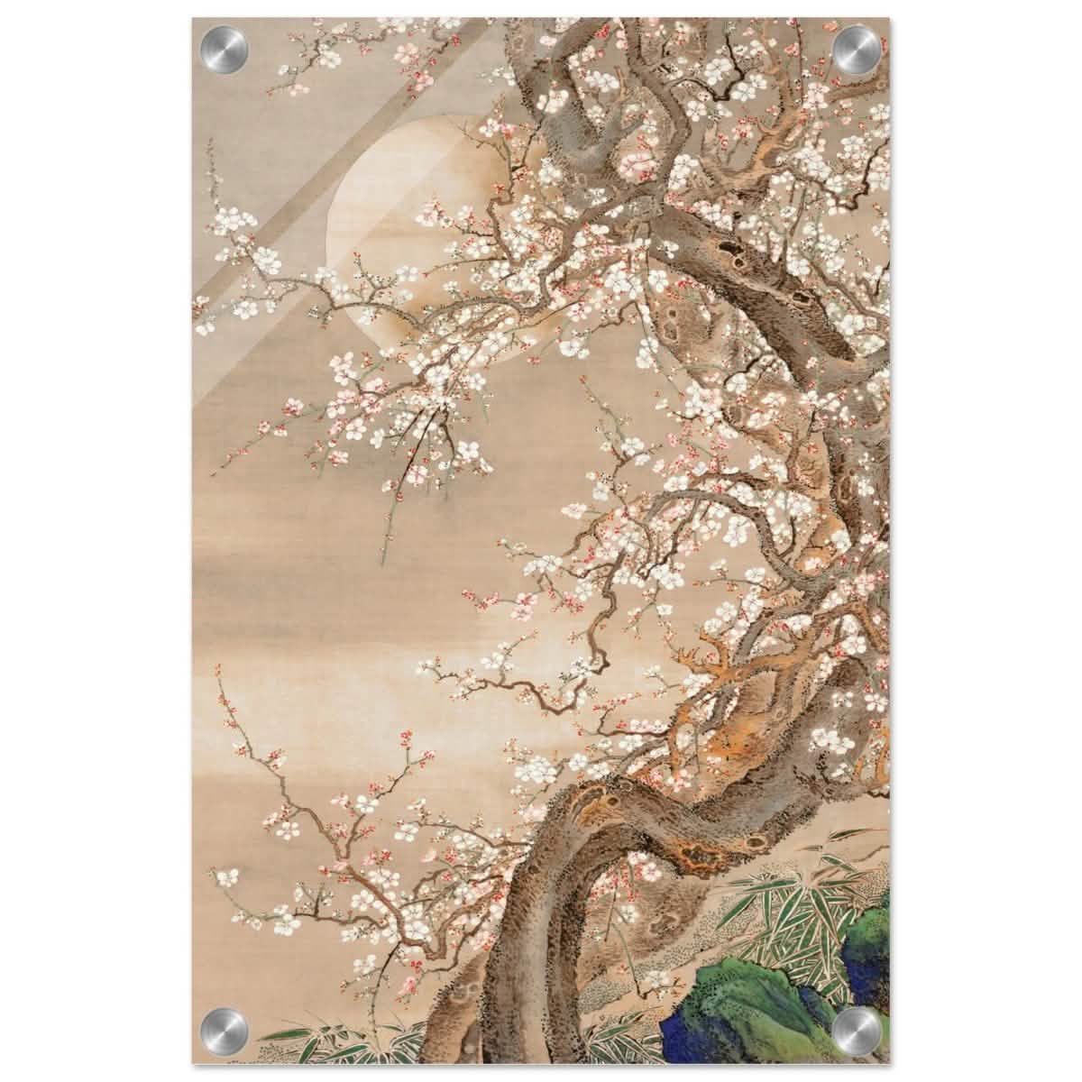 Moonlit Sakura Dance | Traditional Chinese/Japanese Botanical wall art print - Acrylic Print - 30x45 cm / 12x18″ -