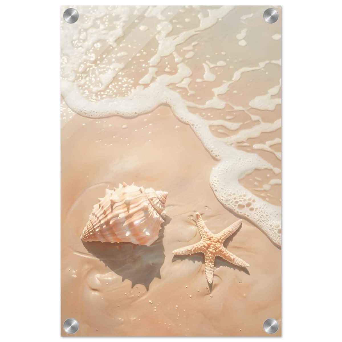 Ocean’s Whisper – Seashells and Serenity | Minimalist Coastal Art - 30x45 cm / 12x18″ - Acrylic Print -