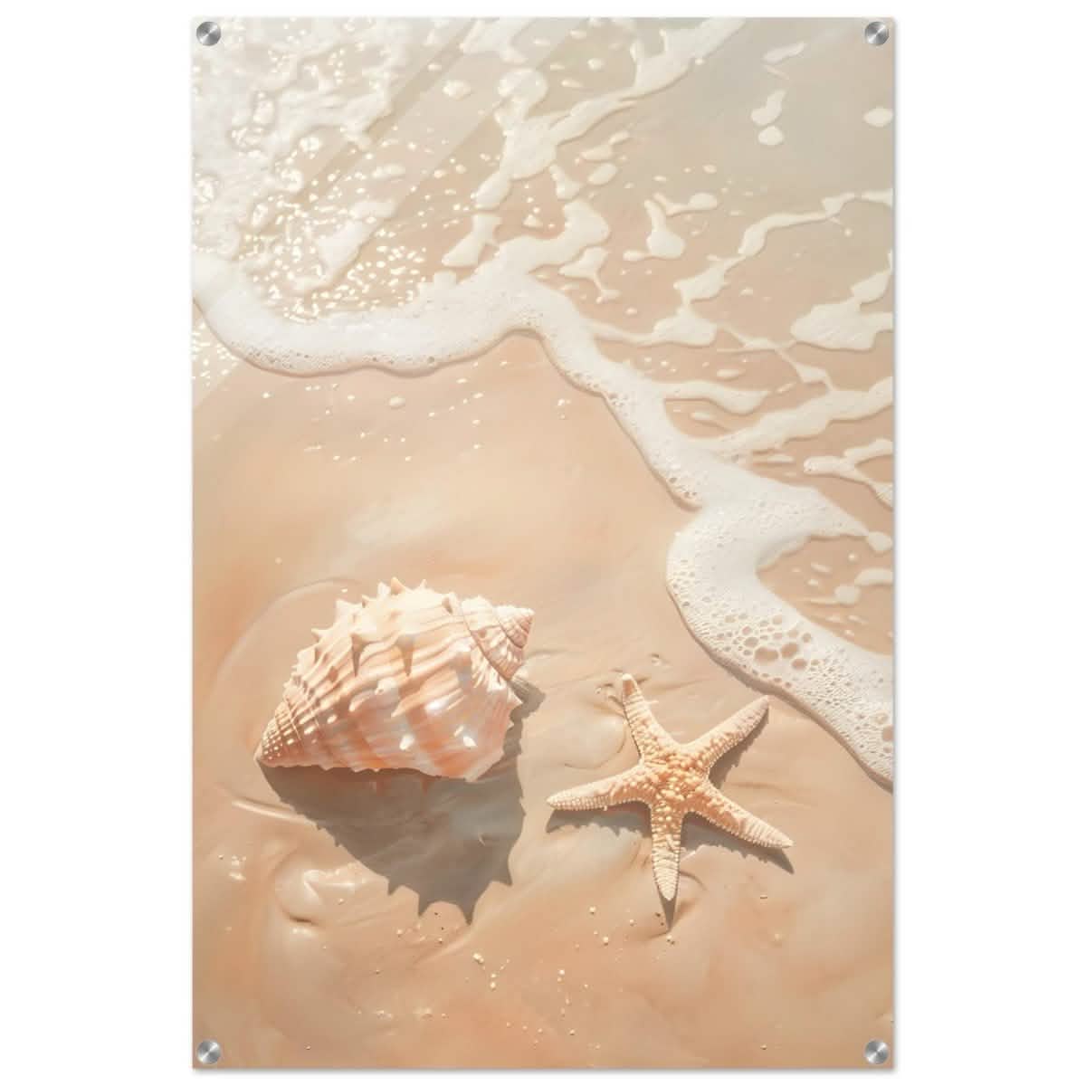 Ocean’s Whisper – Seashells and Serenity | Minimalist Coastal Art - 60x90 cm / 24x36″ - Acrylic Print -