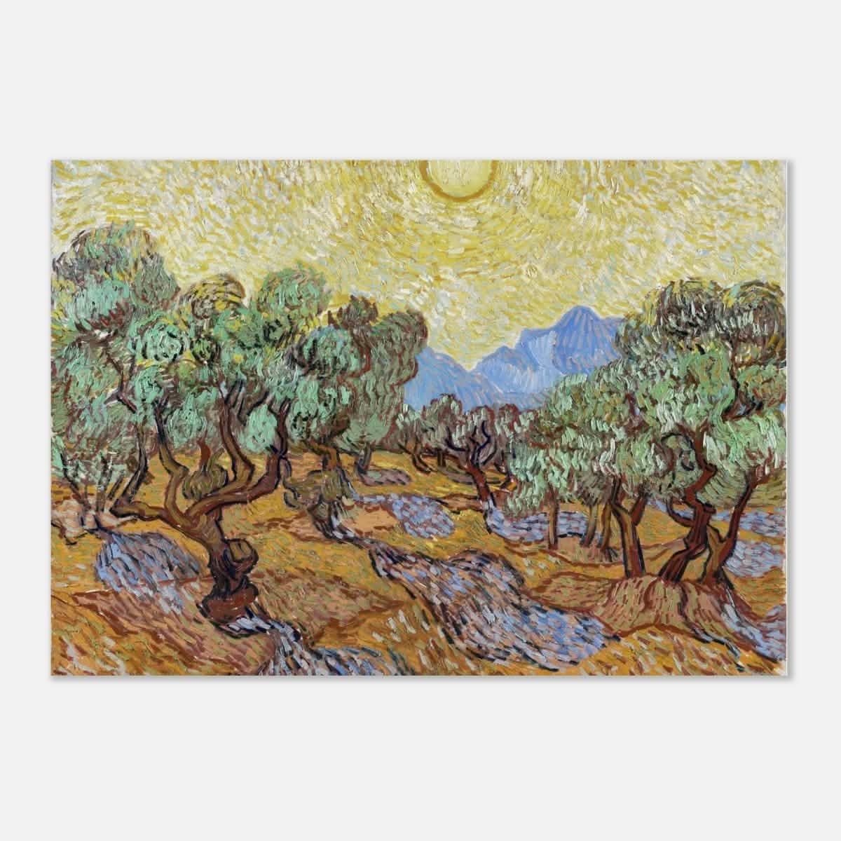 Olive Trees with Yellow Sky and Sun by Vincent van Gogh Wall art - Aluminum Print - 70x100 cm / 28x40″ -