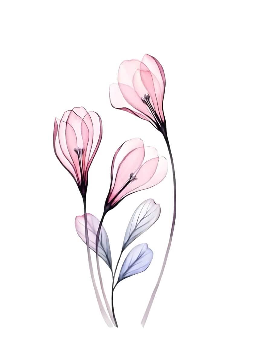 "Petal Reverie" – Soft Bloom Botanical Series | Wall Art Print | 6 Design Options - 20x30 cm / 8x12" - Design Option 2 - Canvas