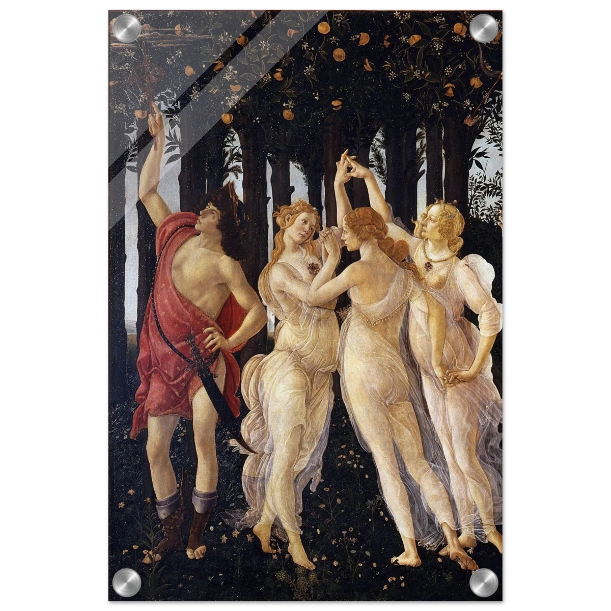 Primavera by Sandro Botticelli | Vintage wall art print - 30x45 cm / 12x18″ - Acrylic Print -