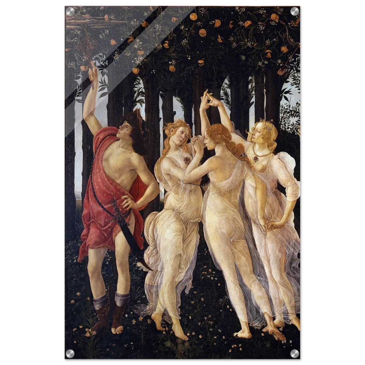 Primavera by Sandro Botticelli | Vintage wall art print - 60x90 cm / 24x36″ - Acrylic Print -