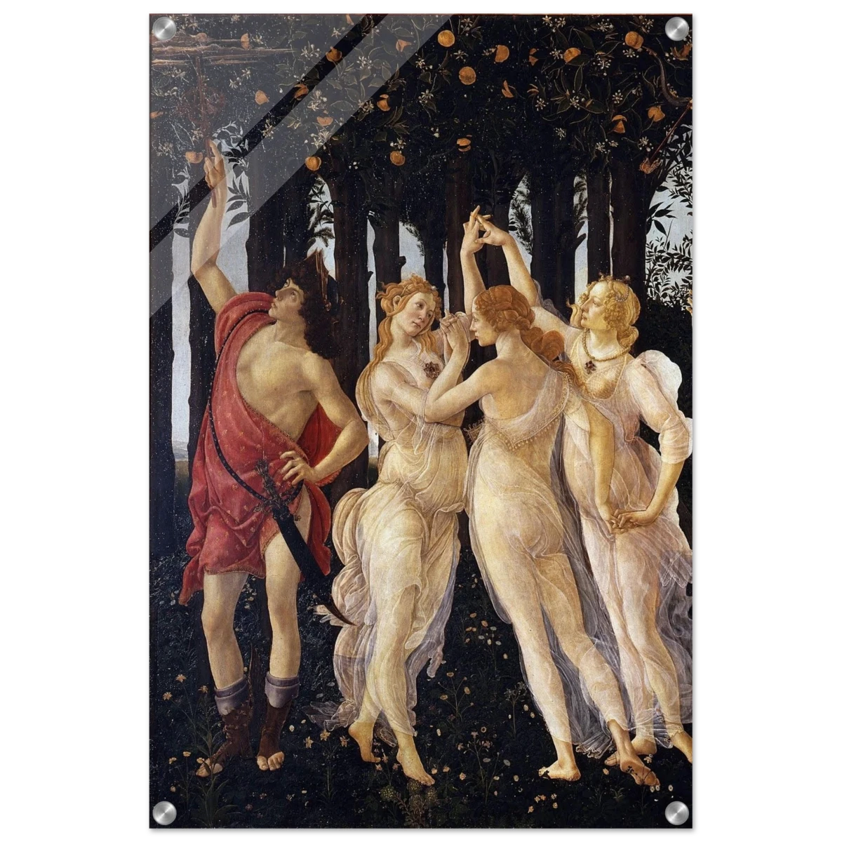 Primavera by Sandro Botticelli | Vintage wall art print - 50x75 cm / 20x30″ - Acrylic Print -