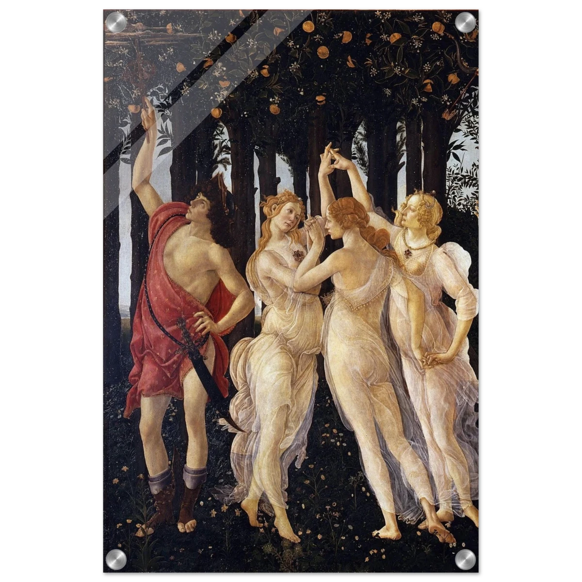 Primavera by Sandro Botticelli | Vintage wall art print - 40x60 cm / 16x24″ - Acrylic Print -
