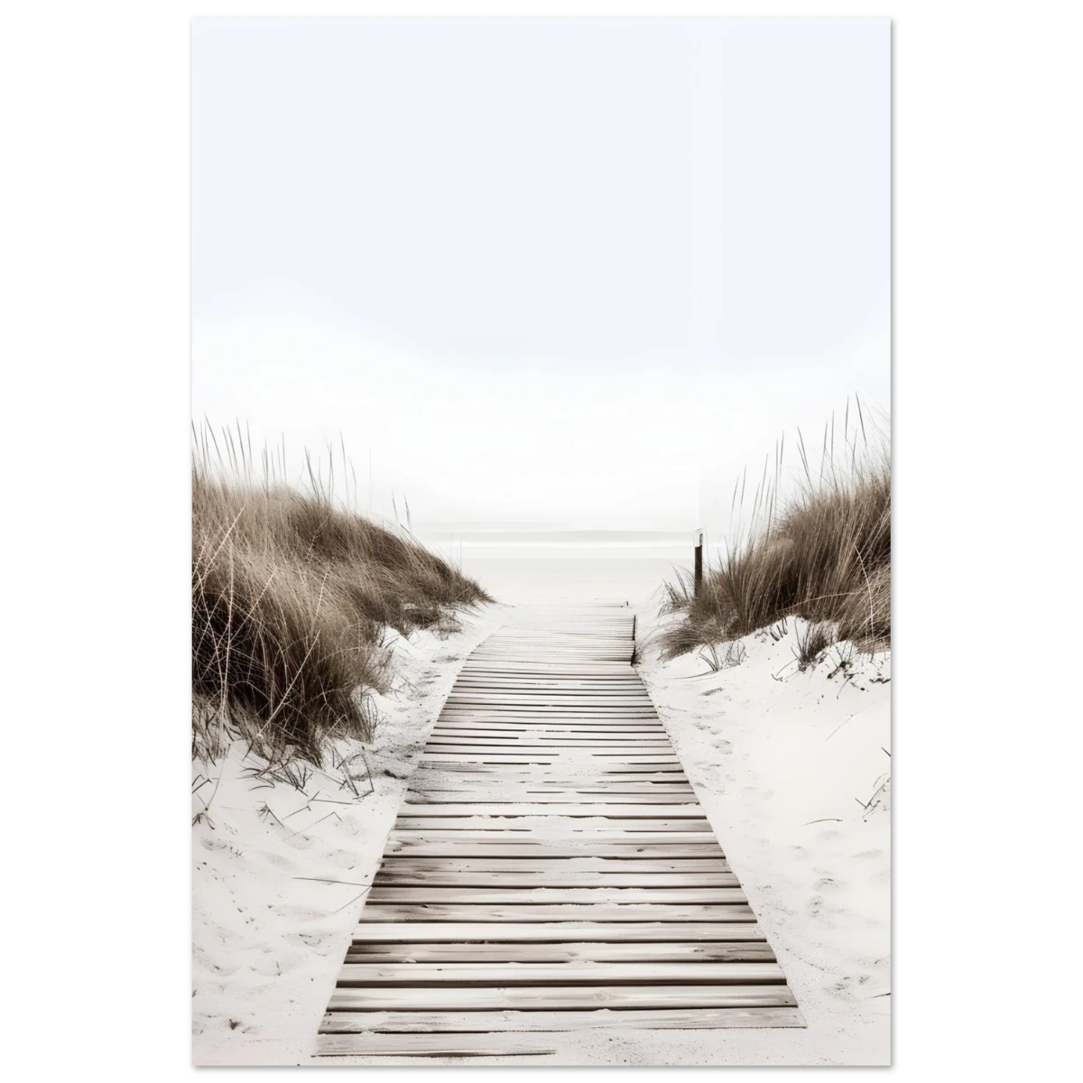"Serene Pathway" – A Journey to Tranquility | Beach Wall art print - 30x45 cm / 12x18″ - Aluminum Print -
