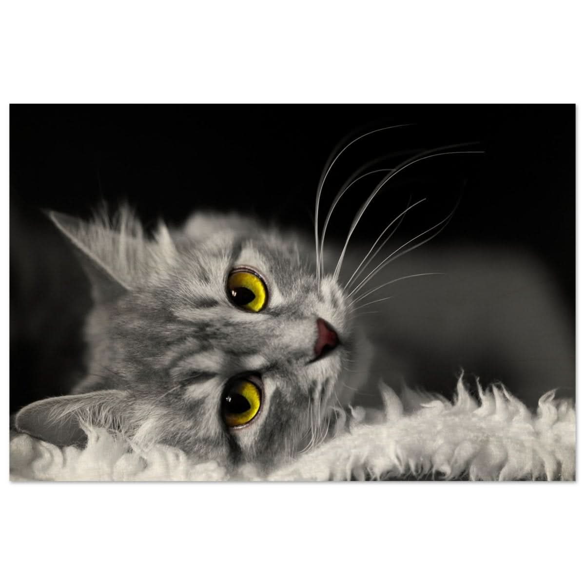 Silent Gaze: The Grey Cat's Serenity | Animal wall art print - Wood Prints - 60x90 cm / 24x36″ -