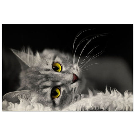 Silent Gaze: The Grey Cat's Serenity | Animal wall art print - Wood Prints - 50x75 cm / 20x30″ -
