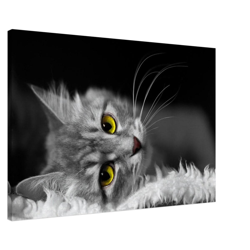 Silent Gaze: The Grey Cat's Serenity | Animal wall art print - Canvas - 60x90 cm / 24x36″ -