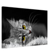 Silent Gaze: The Grey Cat's Serenity | Animal wall art print - Canvas - 60x90 cm / 24x36″ -