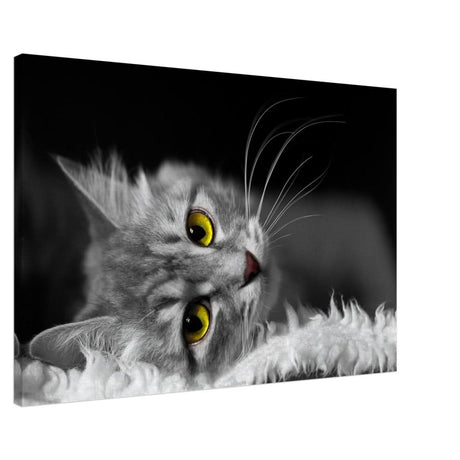 Silent Gaze: The Grey Cat's Serenity | Animal wall art print - Canvas - 60x90 cm / 24x36″ -