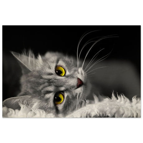 Silent Gaze: The Grey Cat's Serenity | Animal wall art print - Wood Prints - 30x45 cm / 12x18″ -