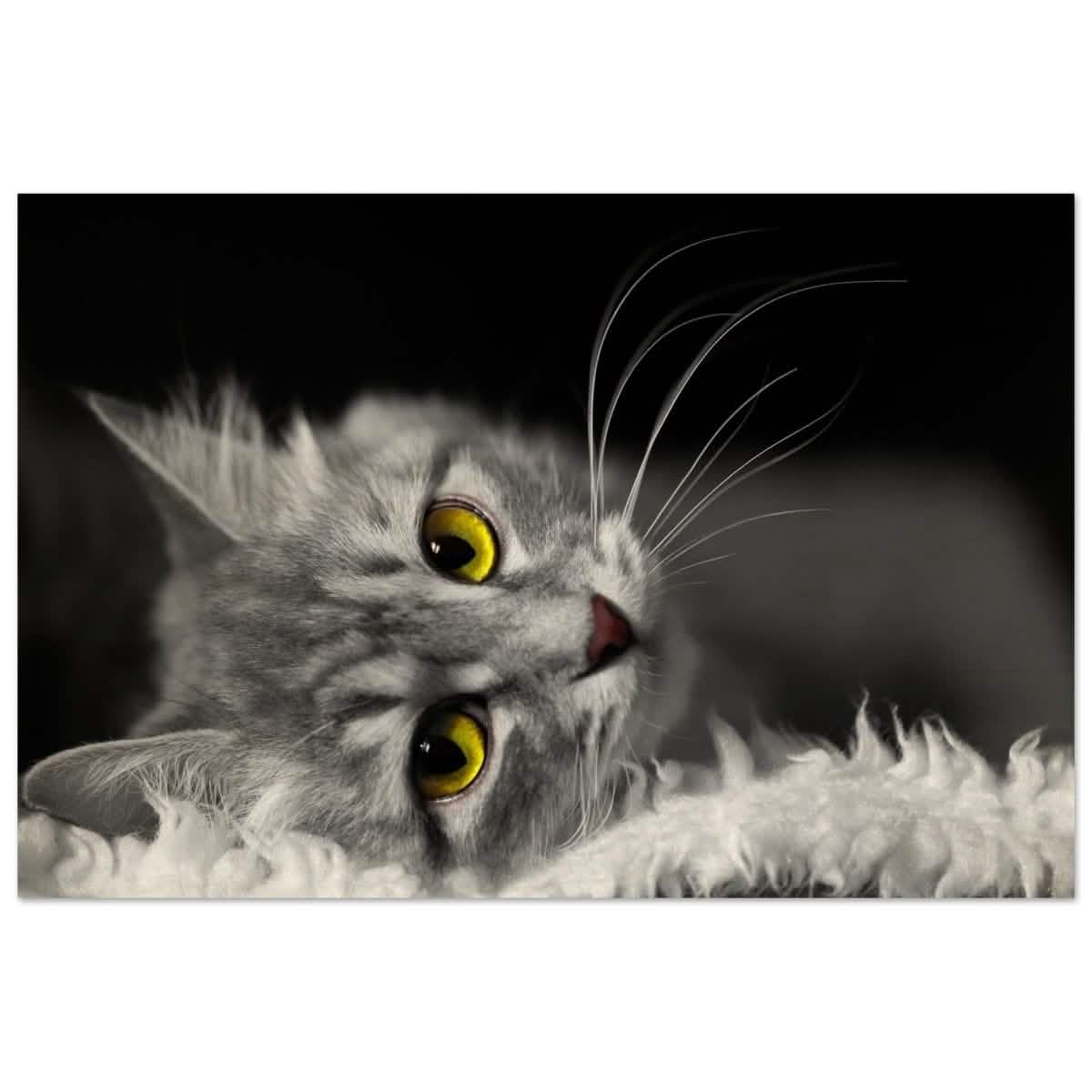 Silent Gaze: The Grey Cat's Serenity | Animal wall art print - Wood Prints - 30x45 cm / 12x18″ -