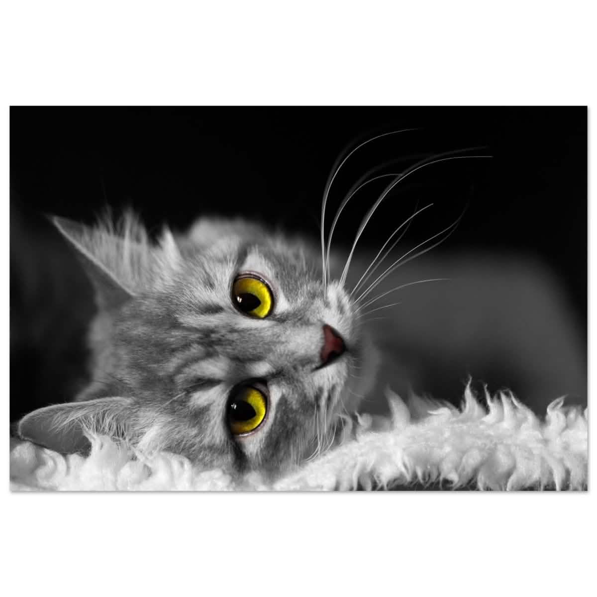 Silent Gaze: The Grey Cat's Serenity | Animal wall art print - Aluminum Print - 60x90 cm / 24x36″ -