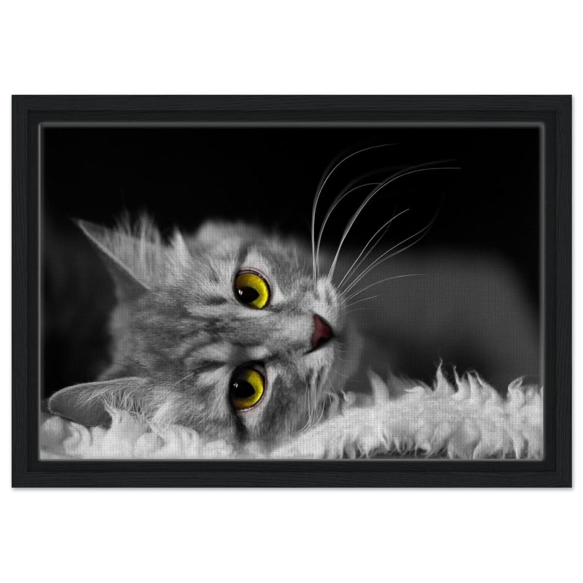 Silent Gaze: The Grey Cat's Serenity | Animal wall art print - Framed Canvas - 30x45 cm / 12x18″ - Black frame