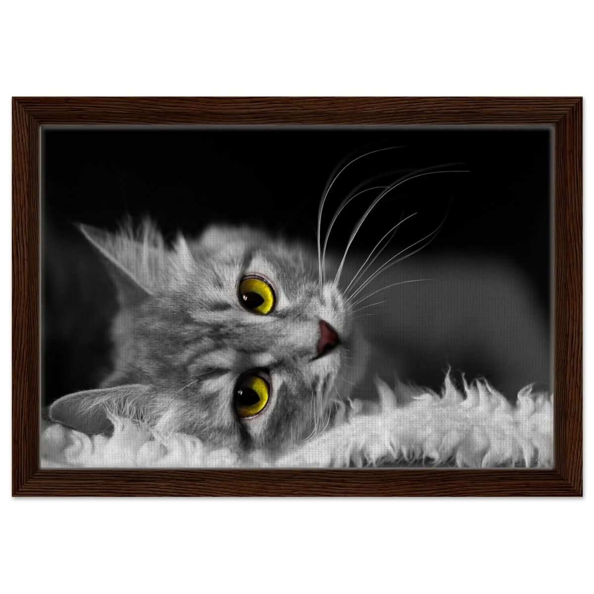 Silent Gaze: The Grey Cat's Serenity | Animal wall art print - Framed Canvas - 30x45 cm / 12x18″ - Dark wood frame