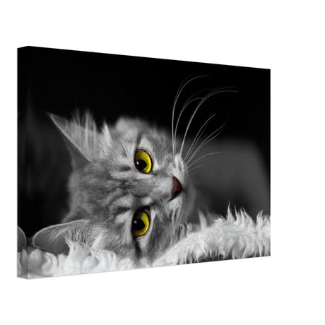 Silent Gaze: The Grey Cat's Serenity | Animal wall art print - Canvas - 30x45 cm / 12x18″ -