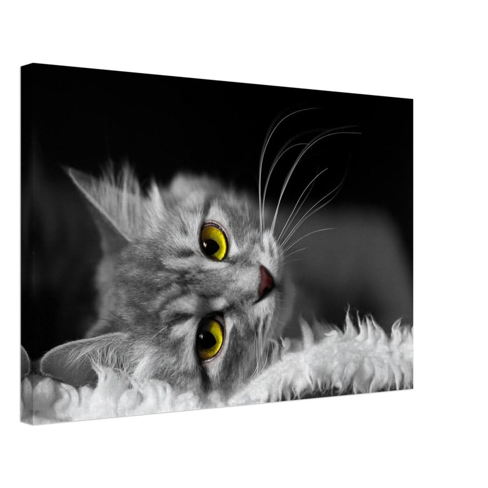 Silent Gaze: The Grey Cat's Serenity | Animal wall art print - Canvas - 40x60 cm / 16x24″ -