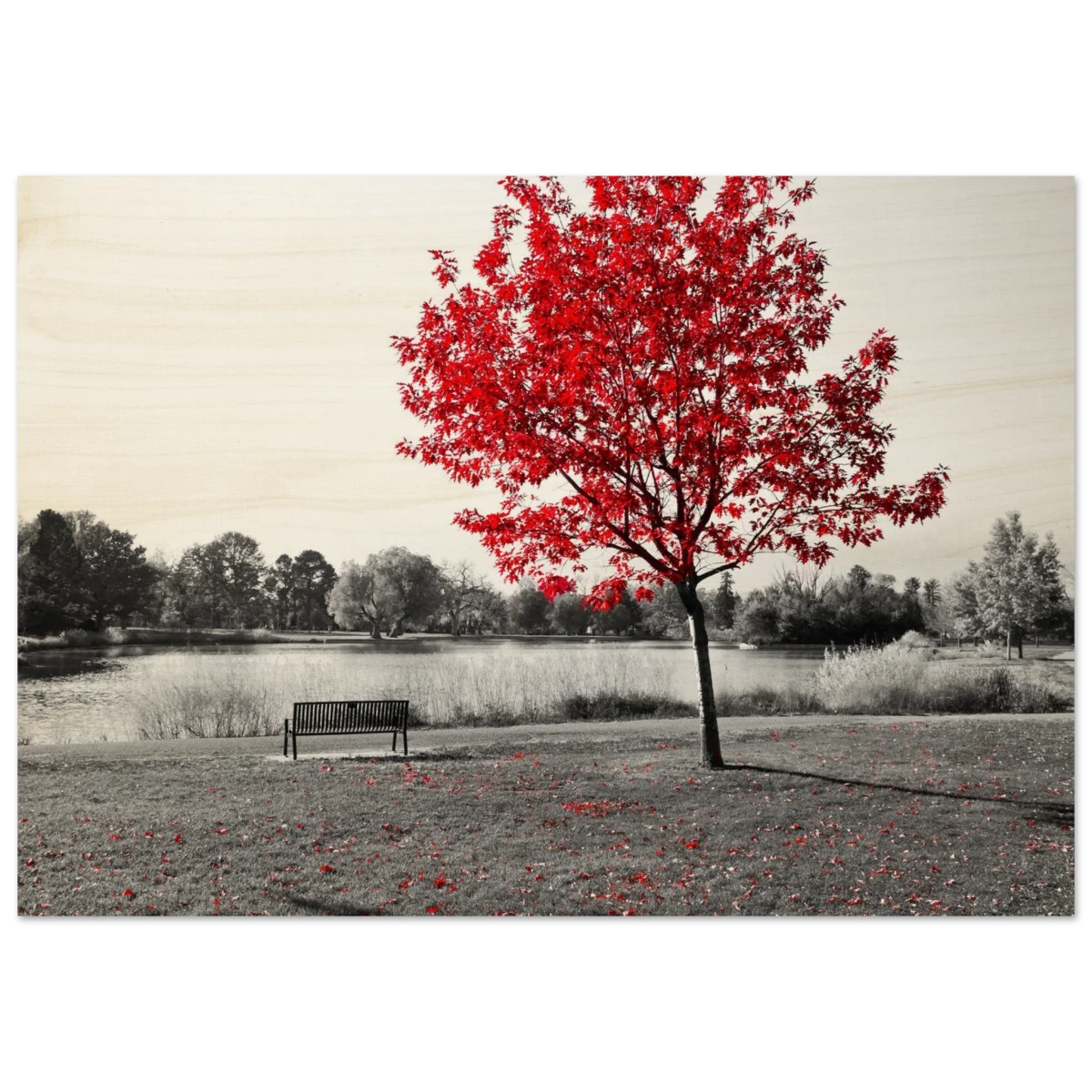 "Solitude in Crimson" – Red Tree by the Lake | Minimalist Nature Wall Art Print - Wood Prints - 70x100 cm / 28x40″ -