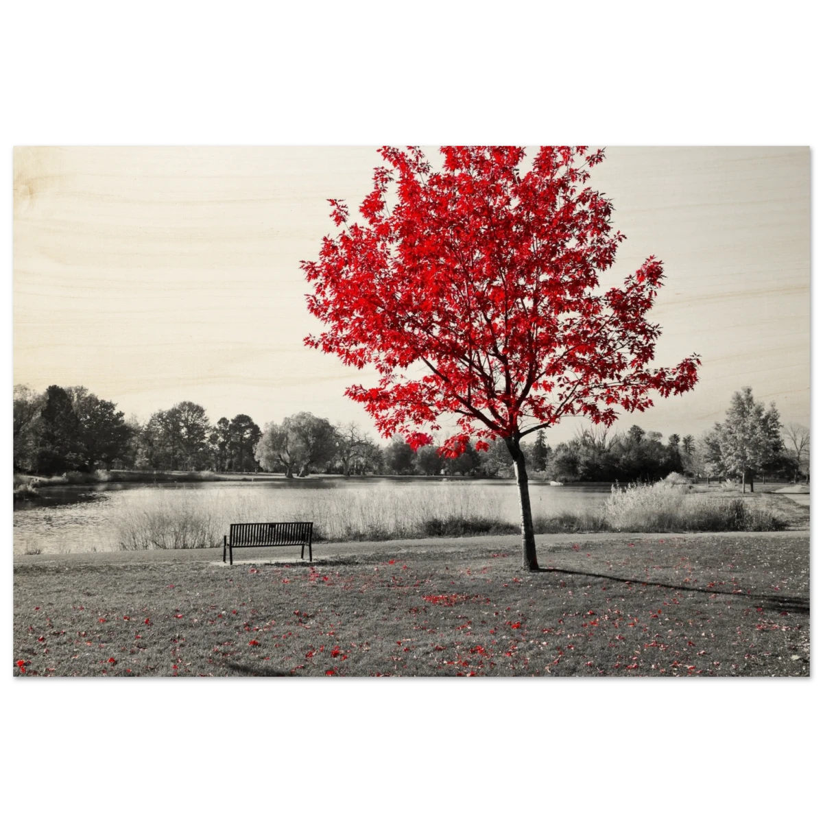 "Solitude in Crimson" – Red Tree by the Lake | Minimalist Nature Wall Art Print - Wood Prints - 60x90 cm / 24x36″ -