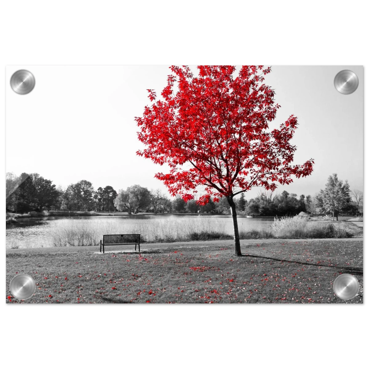 "Solitude in Crimson" – Red Tree by the Lake | Minimalist Nature Wall Art Print - Acrylic Print - 20x30 cm / 8x12″ -