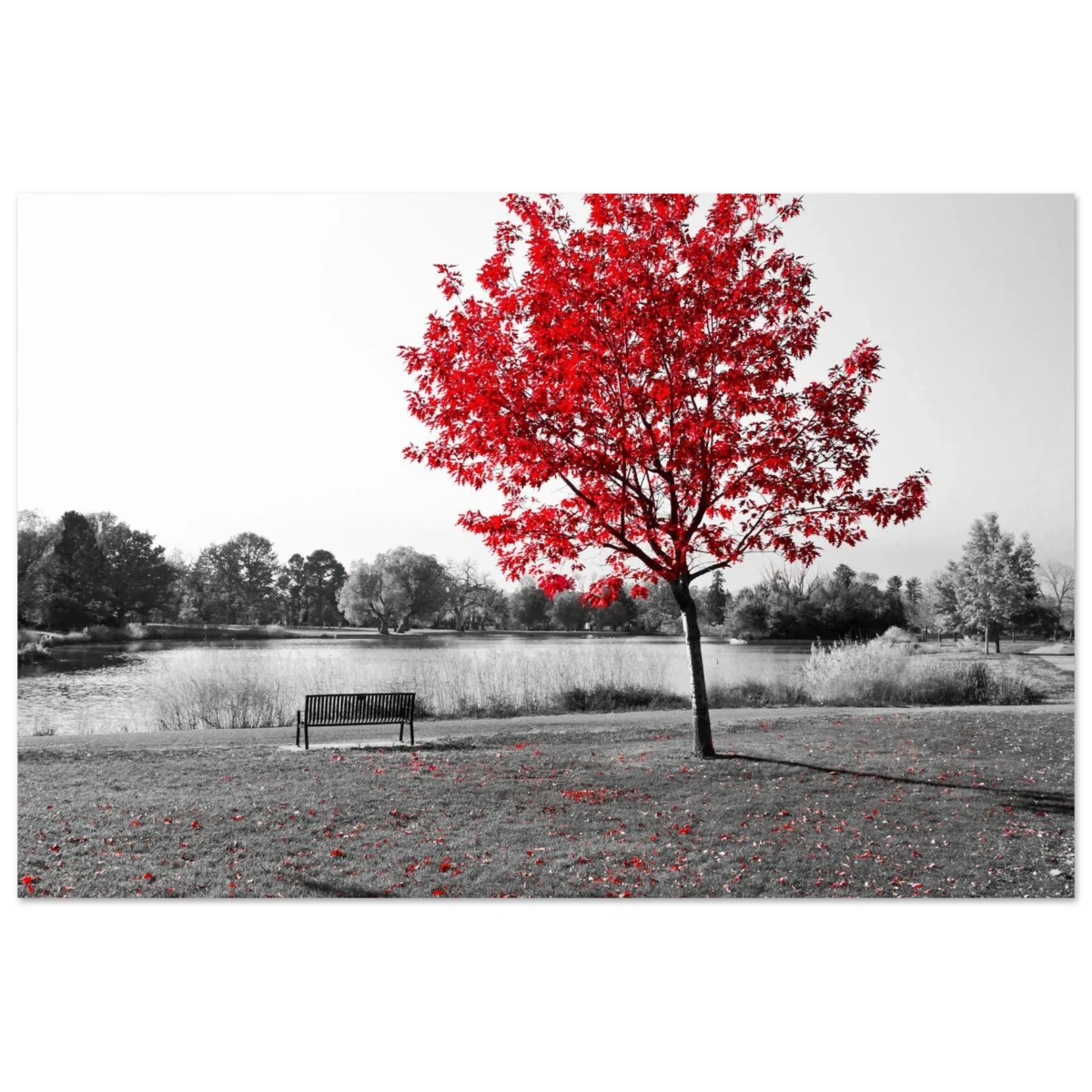 "Solitude in Crimson" – Red Tree by the Lake | Minimalist Nature Wall Art Print - Fine Art Poster - 40x60 cm / 16x24″ -