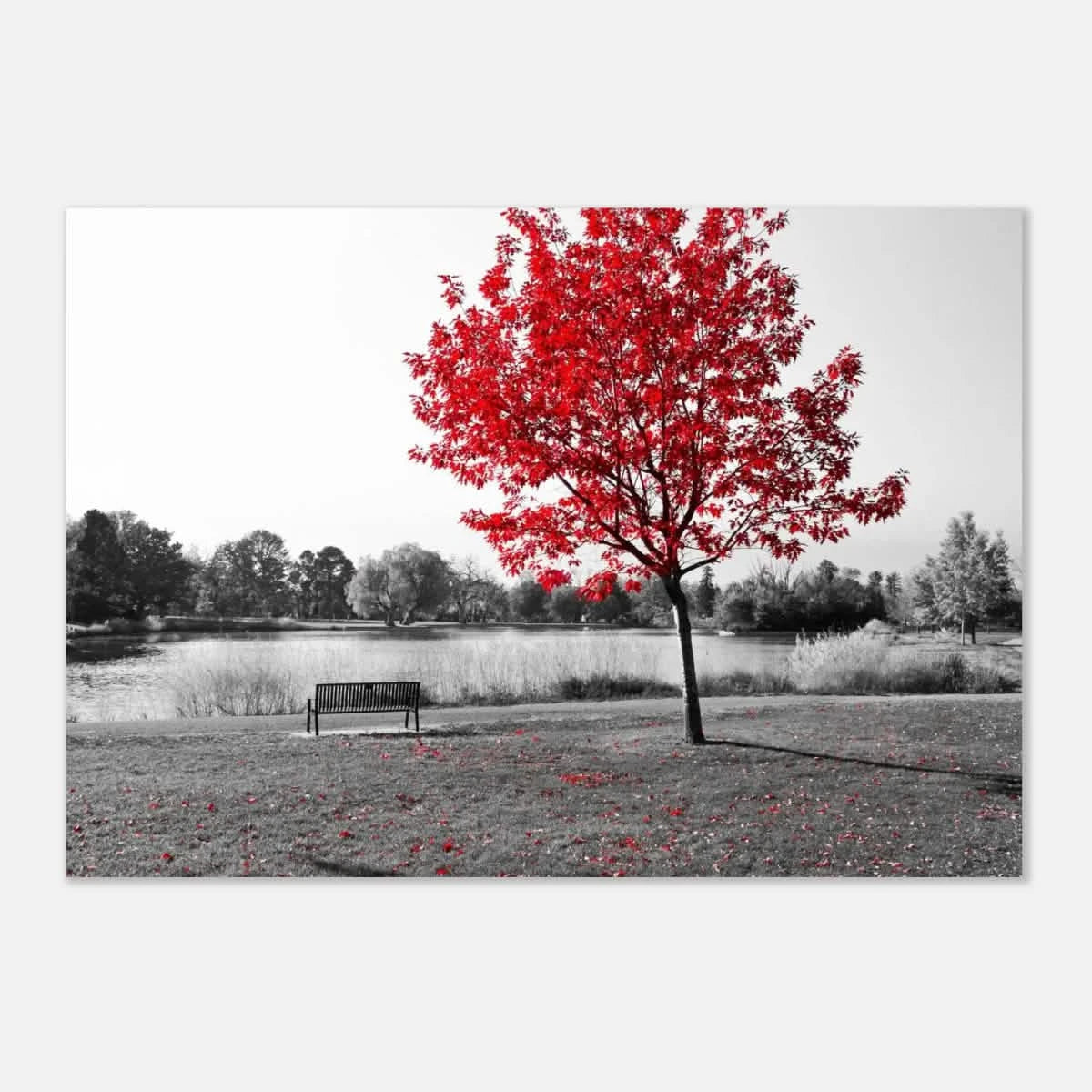 "Solitude in Crimson" – Red Tree by the Lake | Minimalist Nature Wall Art Print - Aluminum Print - 70x100 cm / 28x40″ -