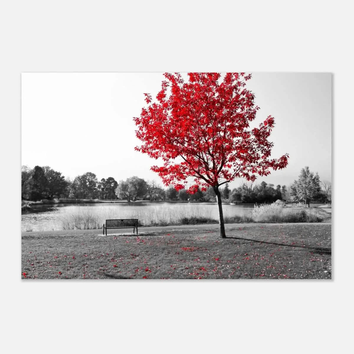 "Solitude in Crimson" – Red Tree by the Lake | Minimalist Nature Wall Art Print - Aluminum Print - 30x45 cm / 12x18″ -