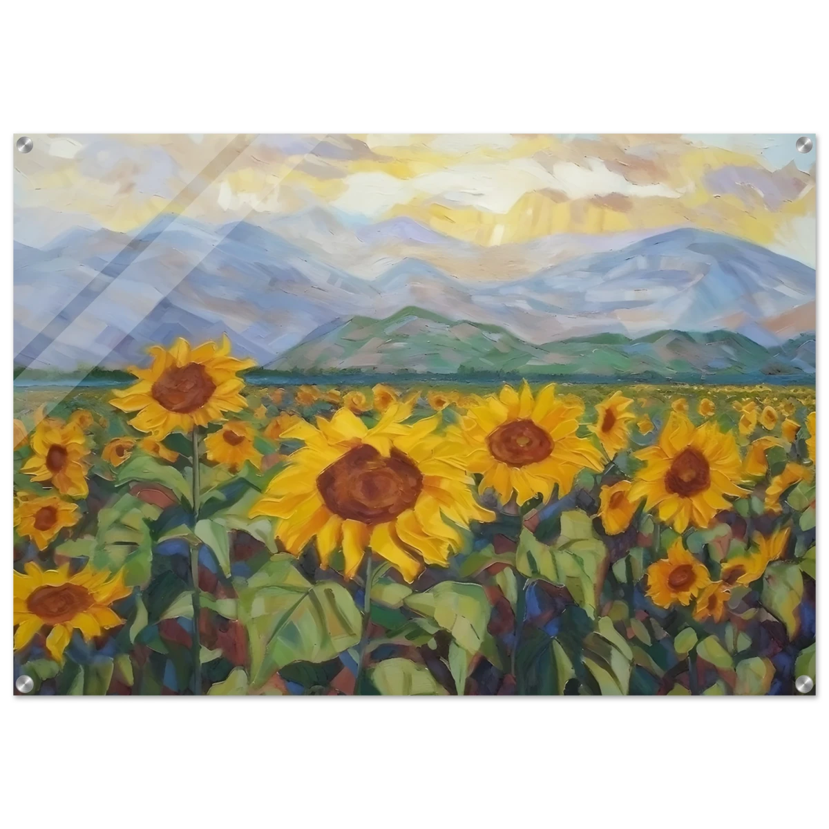 Sunlit Field of Sunflowers – Landscape Floral Wall Art Print - Acrylic Print - 70x100 cm / 28x40″ -