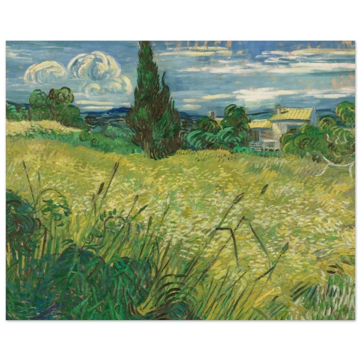 The Green Field by Vincent van Gogh | Vintage wall art print - Wood Prints - 40x50 cm / 16x20″ -