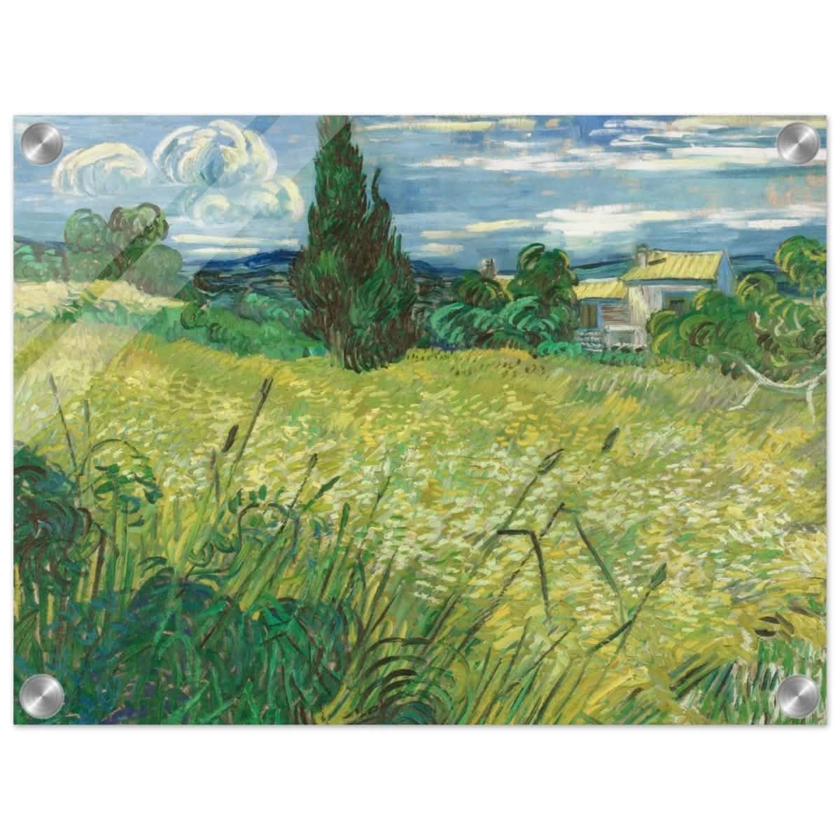 The Green Field by Vincent van Gogh | Vintage wall art print - Acrylic Print - 30x40 cm / 12x16″ -