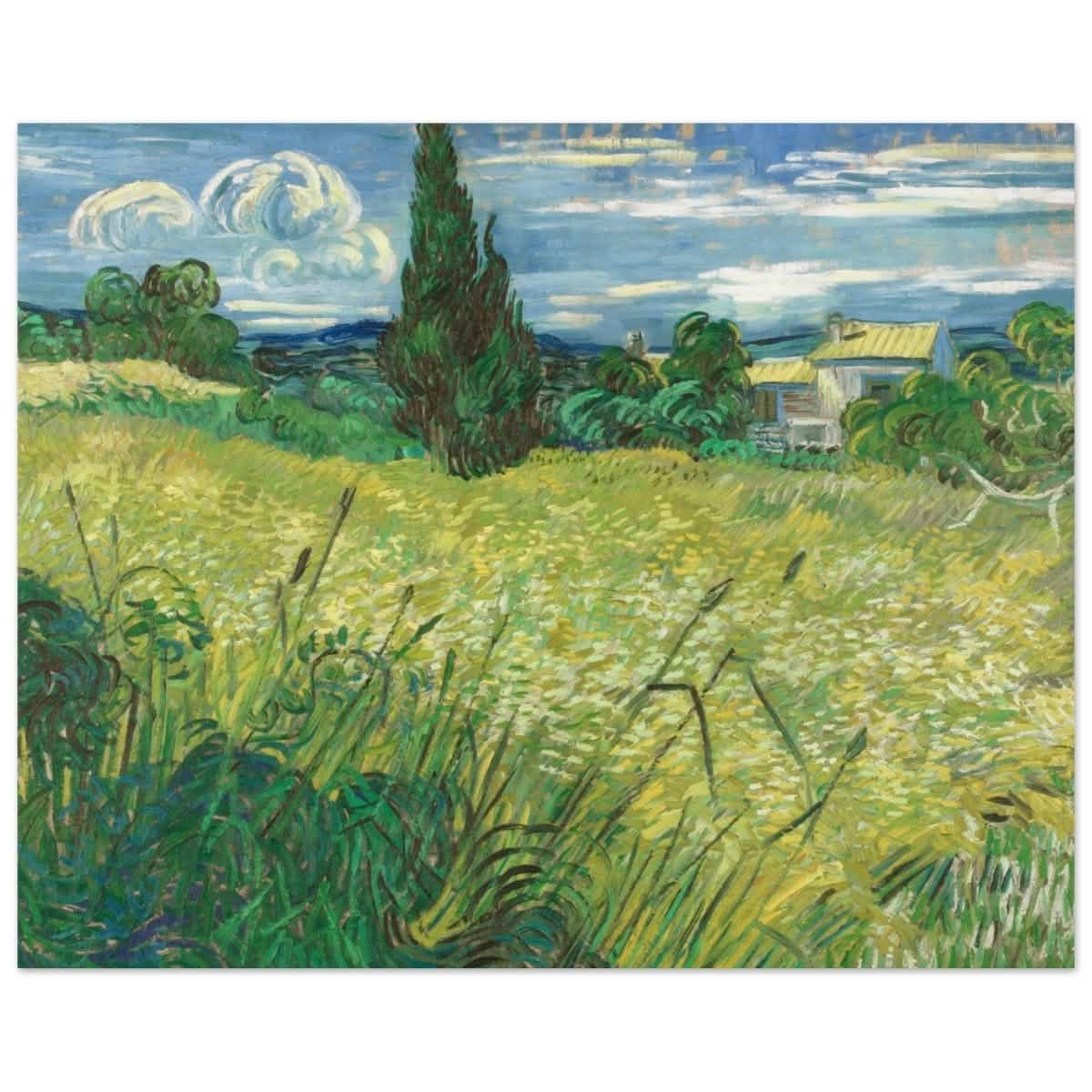 The Green Field by Vincent van Gogh | Vintage wall art print - Aluminum Print - 40x50 cm / 16x20″ -