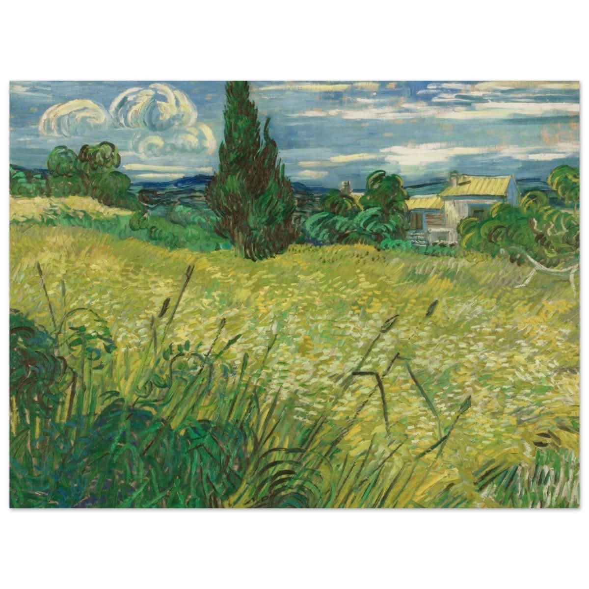The Green Field by Vincent van Gogh | Vintage wall art print - Wood Prints - 30x40 cm / 12x16″ -