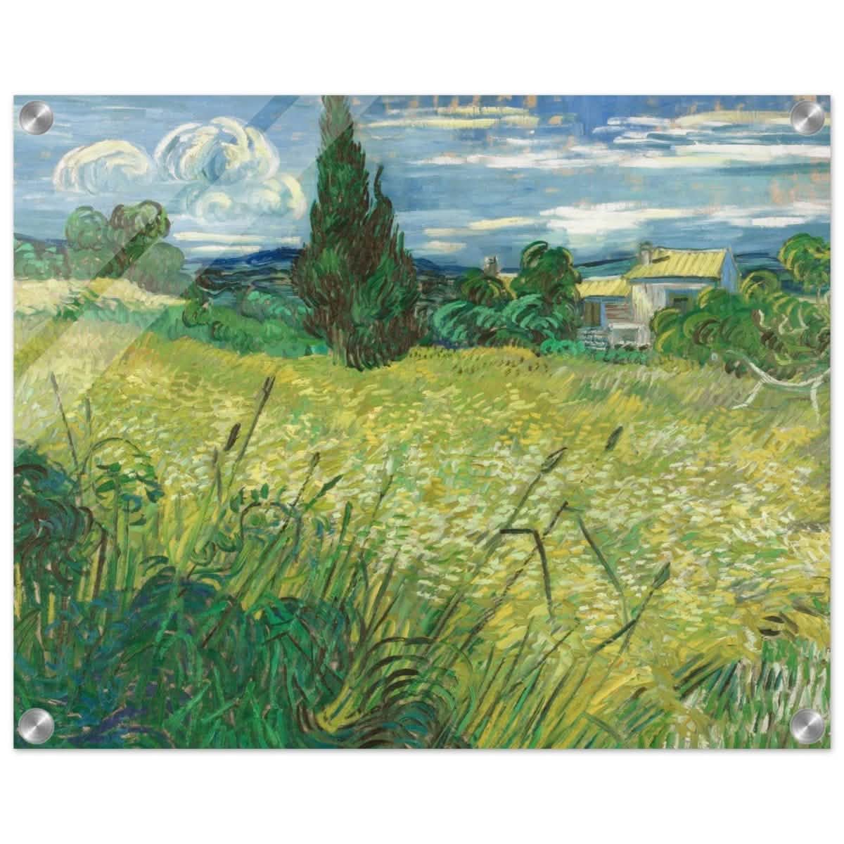 The Green Field by Vincent van Gogh | Vintage wall art print - Acrylic Print - 40x50 cm / 16x20″ -
