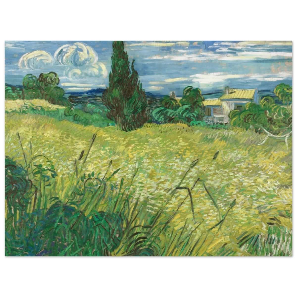 The Green Field by Vincent van Gogh | Vintage wall art print - Aluminum Print - 30x40 cm / 12x16″ -