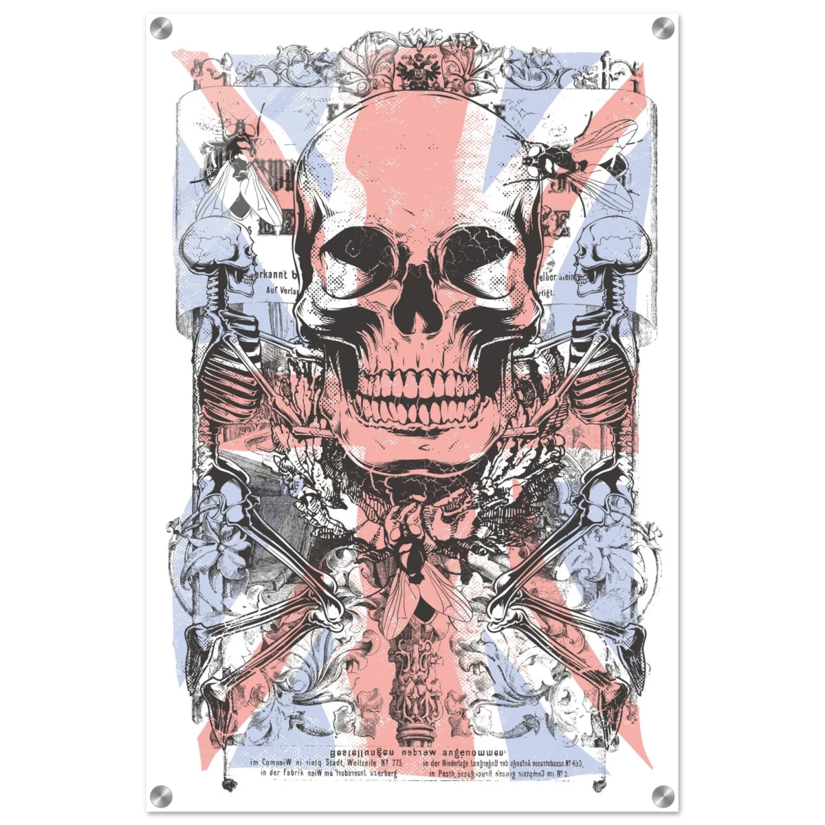 The Insect Alchemy | Pop art wall art print - 50x75 cm / 20x30″ - Acrylic Print -