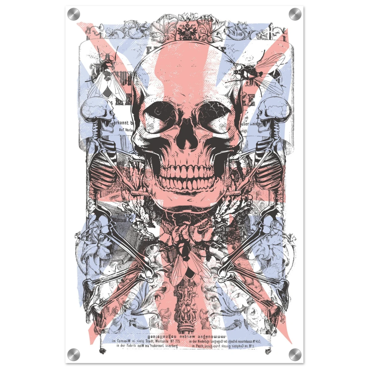 The Insect Alchemy | Pop art wall art print - 40x60 cm / 16x24″ - Acrylic Print -